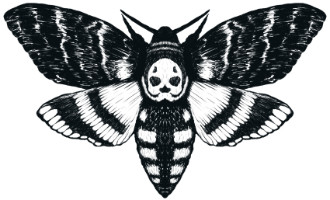 Acherontia