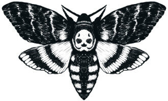 acherontia.it