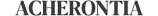 Acherontia
